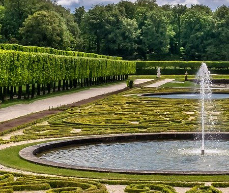 Garden naturally grow but with proper guide