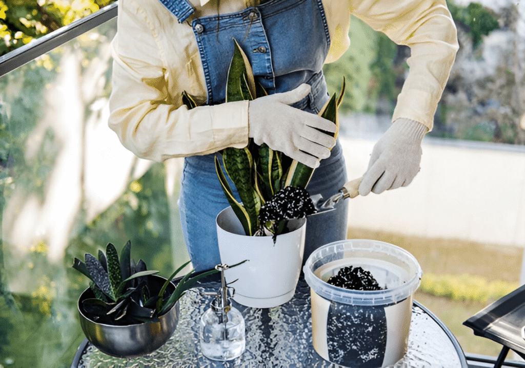 Privacy policy page of garden luminous tales