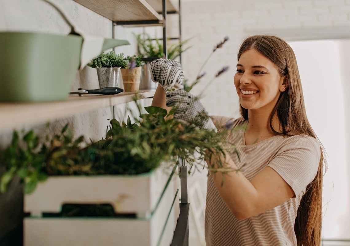 Gardening guide to grow indoor plant