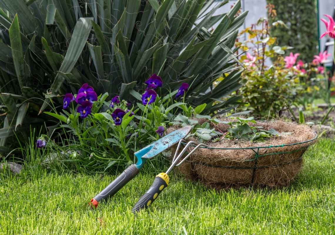 backyard gardening tips