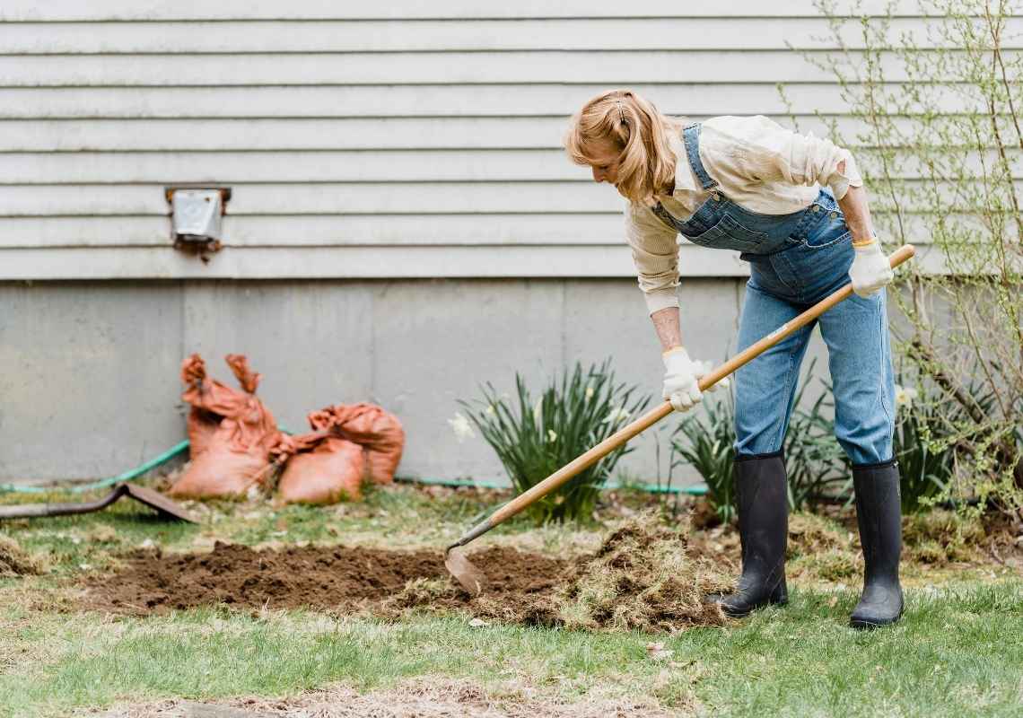 bed raising in backyard to grow seasonal plant