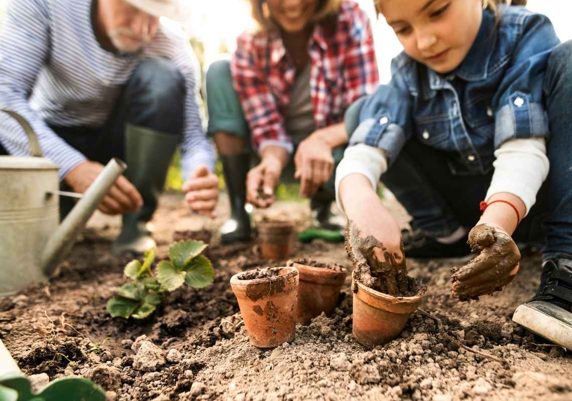outdoor garden ideas