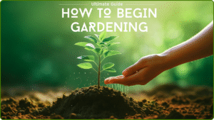 How to Begin Gardening