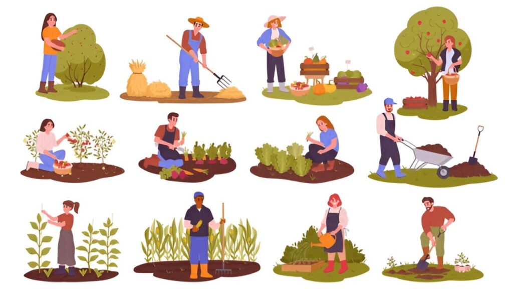 Seasonal Gardening Guide 2025