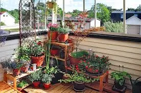 Patio & Balcony Ideas