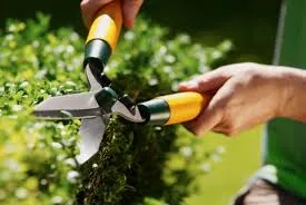 Why Lawns Are Not Low Maintenance gardens