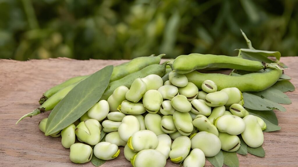15Best Vegetables for Temperate Climates (12)