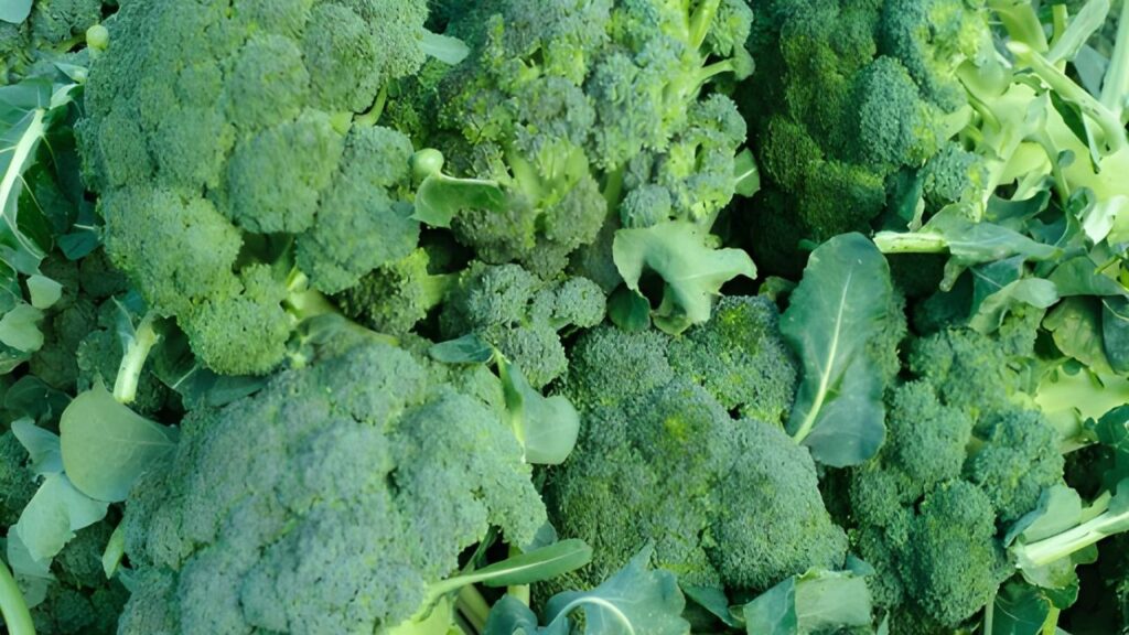 15Best Vegetables for Temperate Climates (14)
