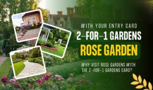 2-for-1 Gardens – Roses: Discover the Most Romantic Rose Gardens with Your Entry Card