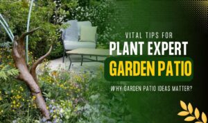 Garden Patio Ideas – Plant Expert Shares Vital Tips for a Smooth Transition