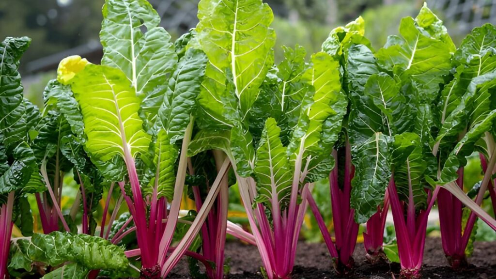 Green and Yellow Bold Plants Food YouTube Thumbnail (1)