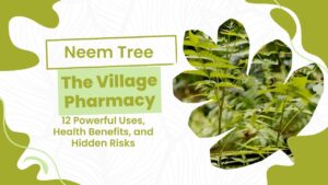 Neem Tree
