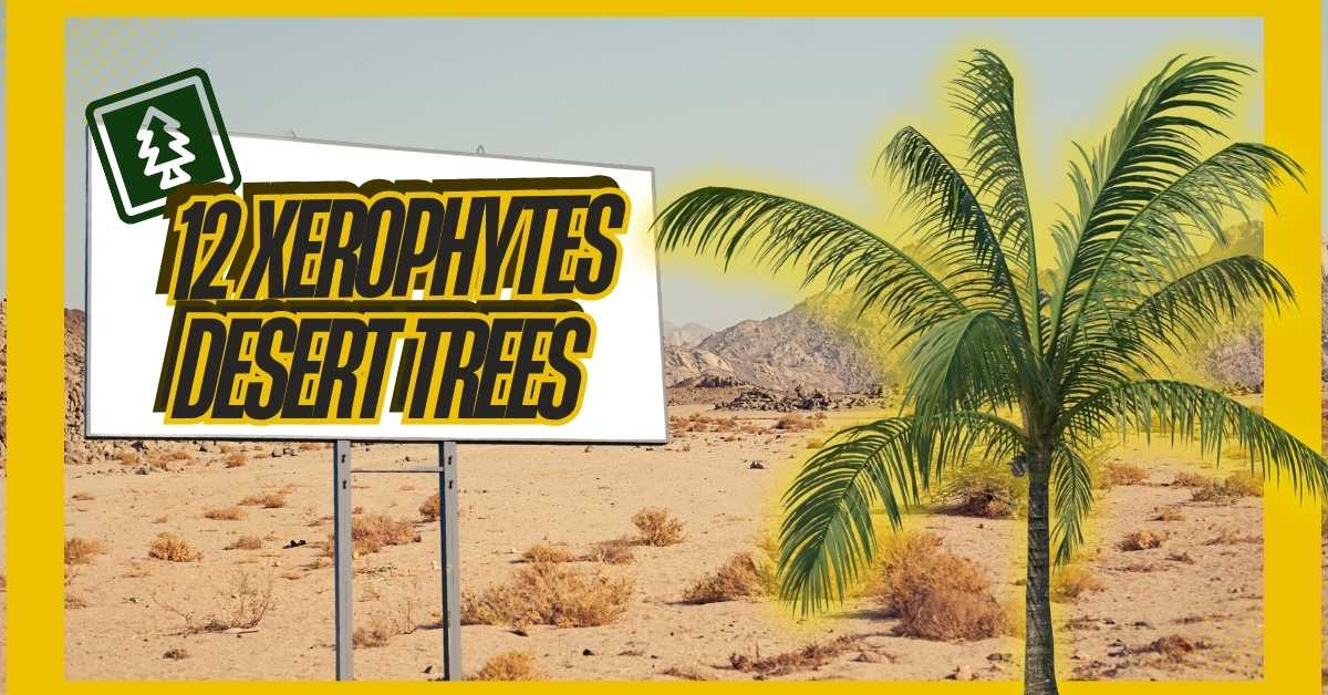 12 Xerophyte Trees for Desert Climates: Unique Planting & Beginner Tips for Thriving in Arid Regions