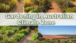 Gardening in Australian Climate Zones