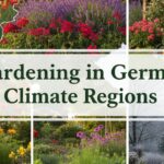 Gardening in German Climate Regions
